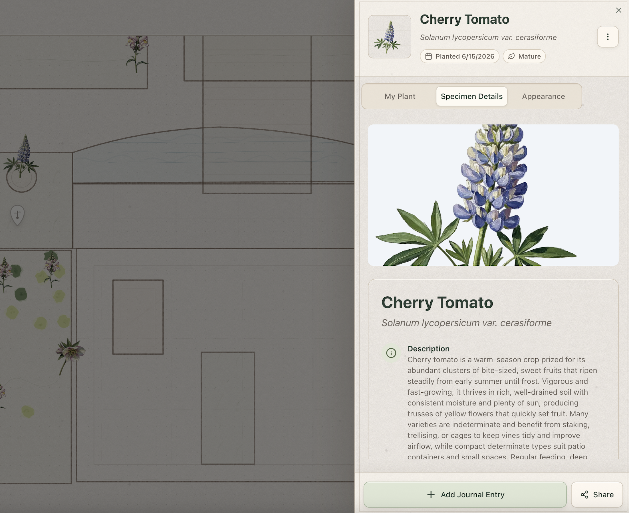 Labeled garden areas including beds, containers, balconies, rooms, and custom growing zones