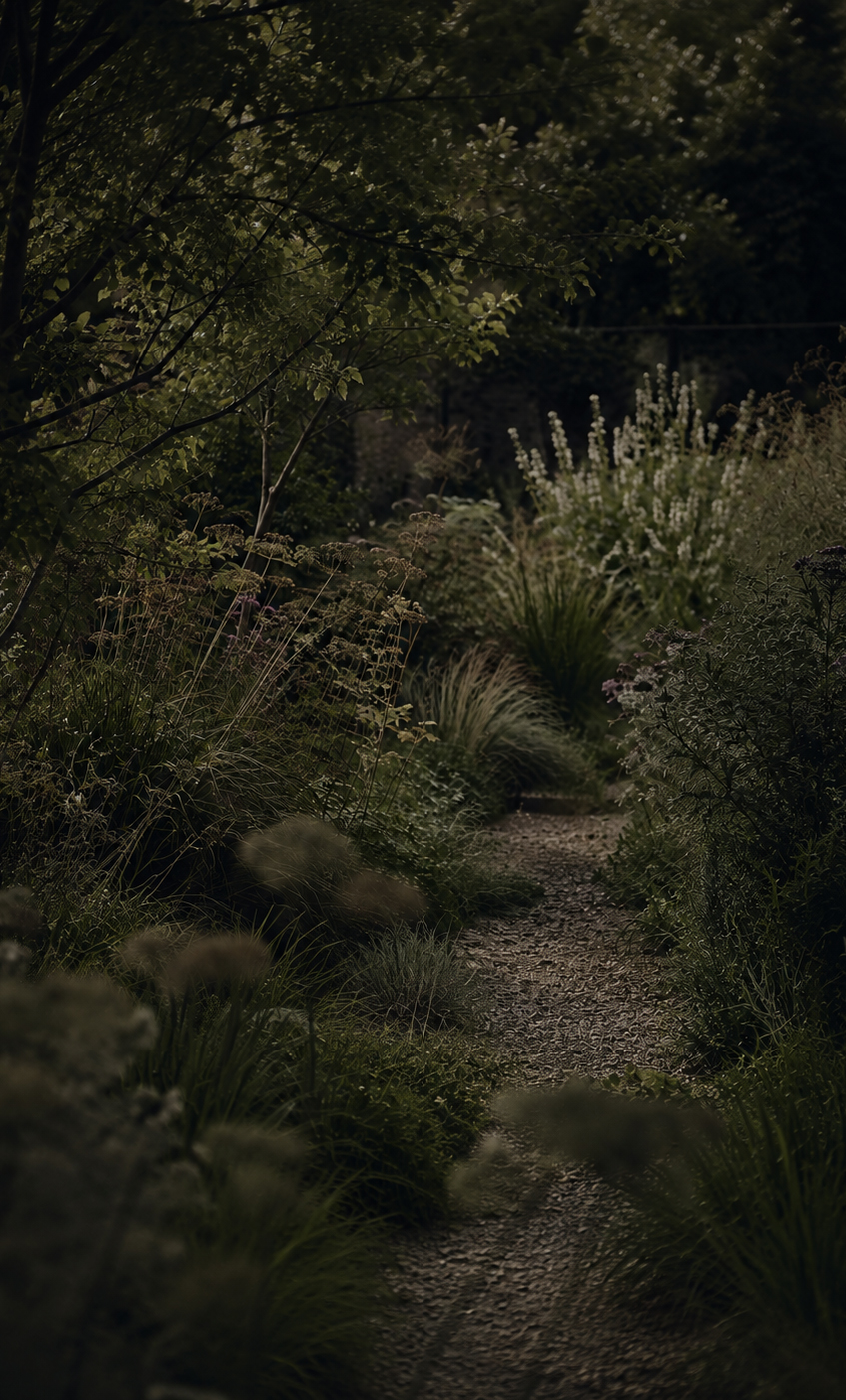 A shadowed garden path surrounded by grasses and flowering plants